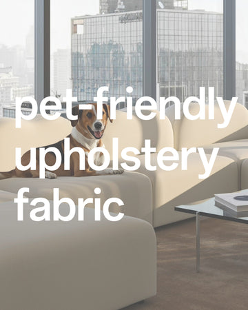 Best Pet-Friendly Sofas for Dog Owners: Materials, Design and Tips